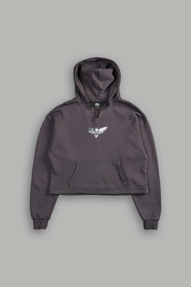 Wolf Gray Darc Sport Everlasting Moth 